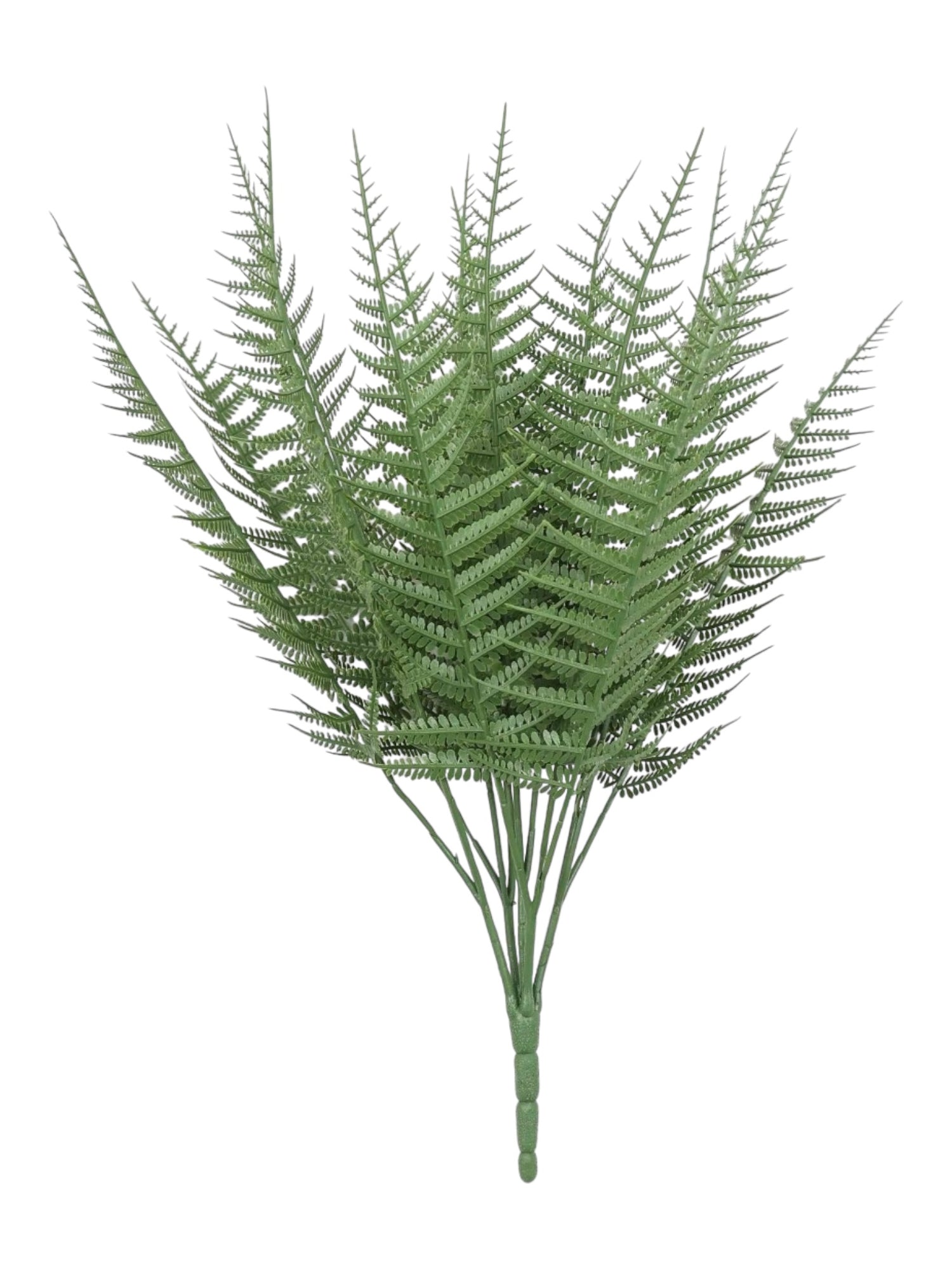 UV 37CM BOSTON FERN