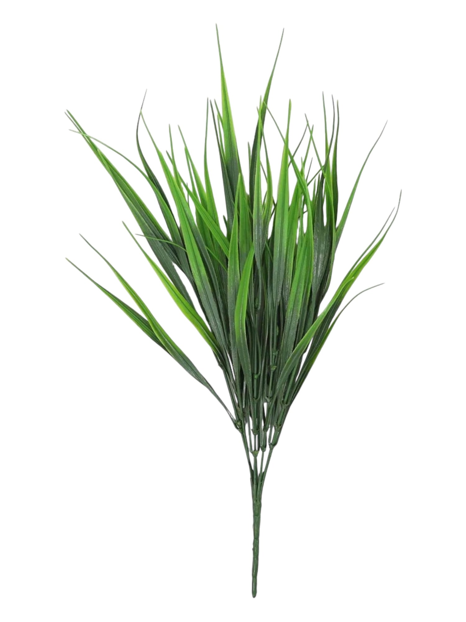 VANILLA GRASS